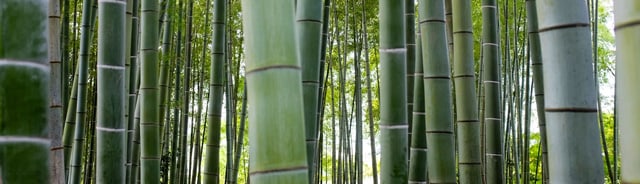 Therapie und Behandlung mit Jikiden Reiki, Zürich (Oerlikon, Seebach)